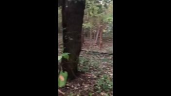 Gumball Felaketler Ormanı
