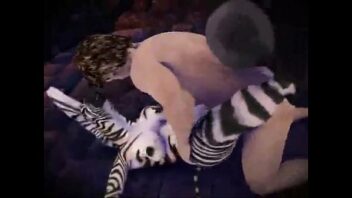 Zebra Çiftleşmesi